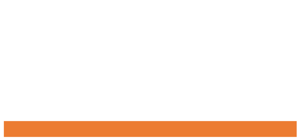 VDNI